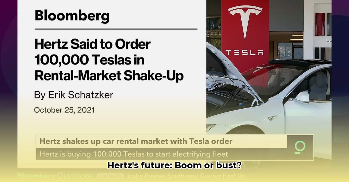 hertz-net-worth